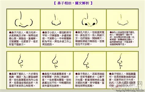 鼻孔形狀面相|【鼻子長面相】注意力! 長鼻子原來代表5種註定大富大貴的面相